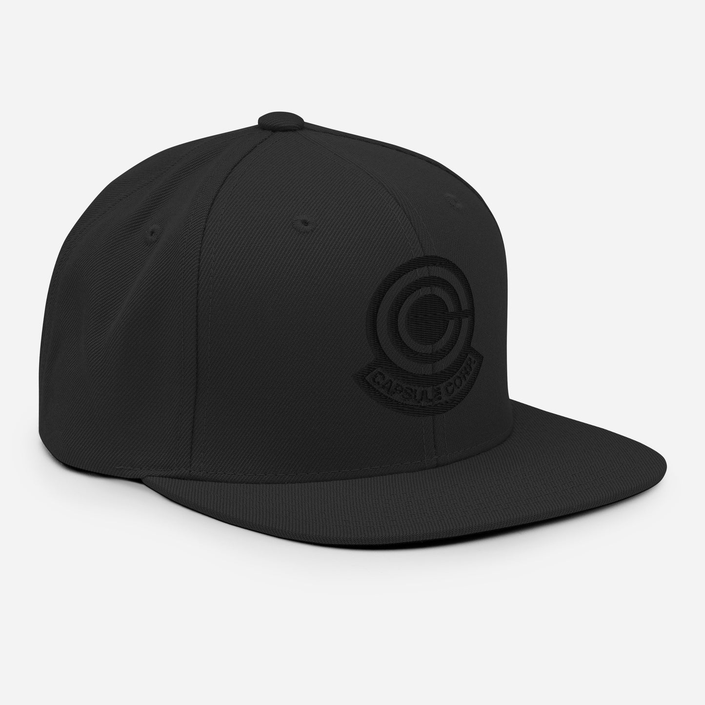 Capsule Snapback Hat (Black Logo)