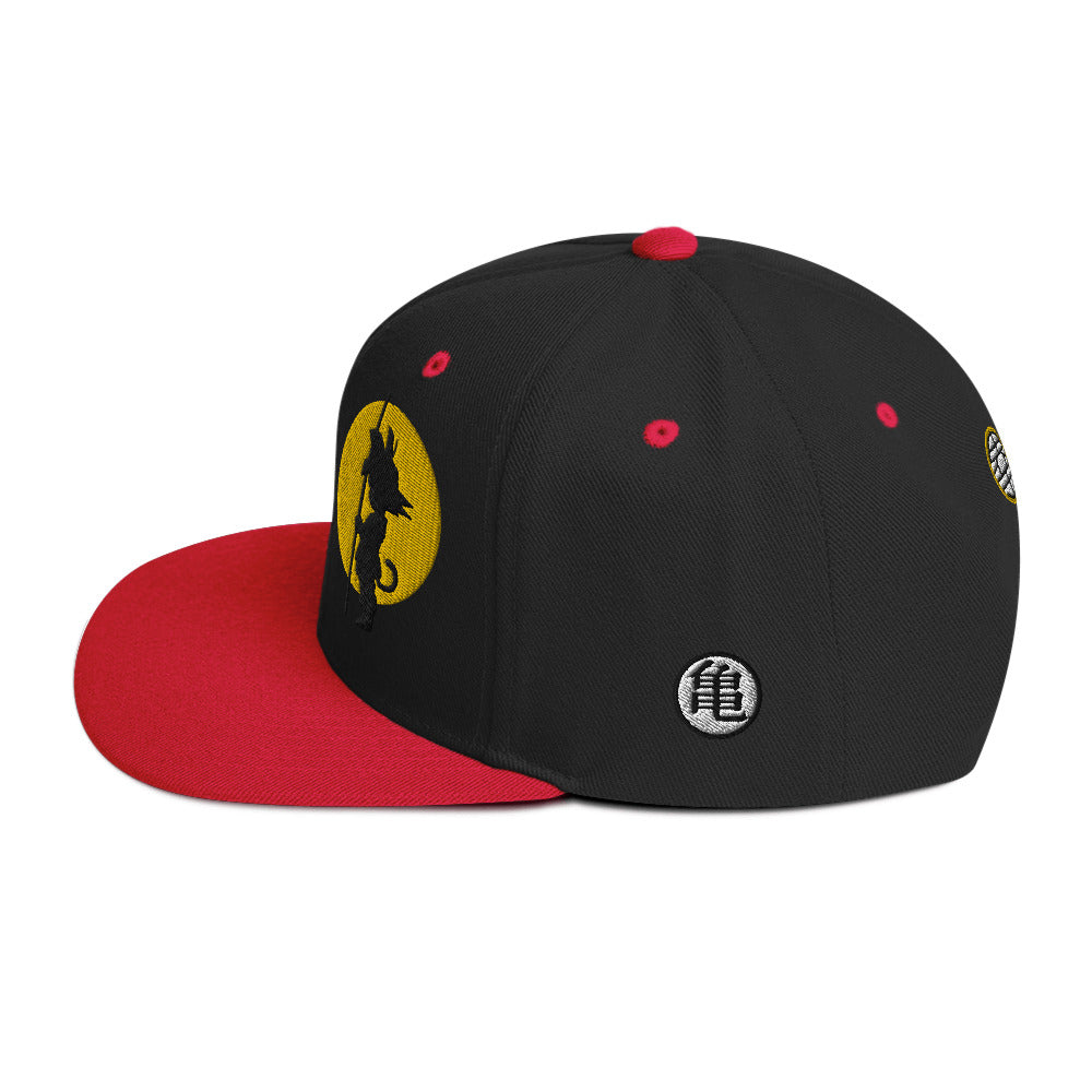 Silhouette Kame Snapback Hat