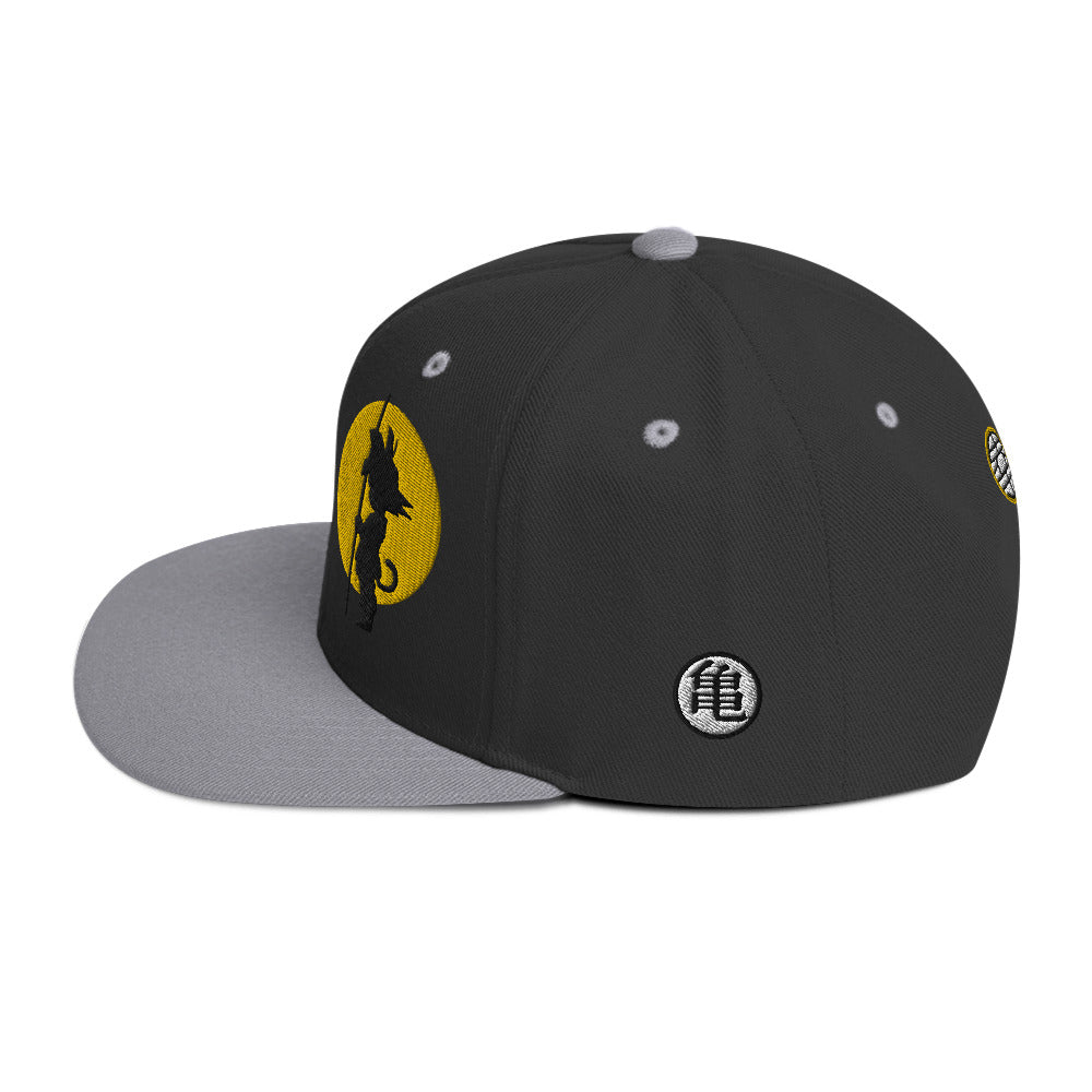 Silhouette Kame Snapback Hat