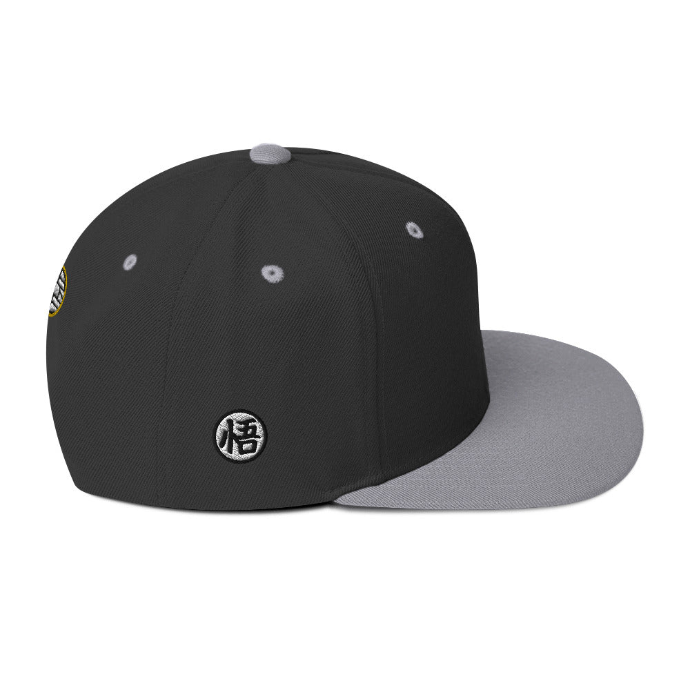 Silhouette Kame Snapback Hat