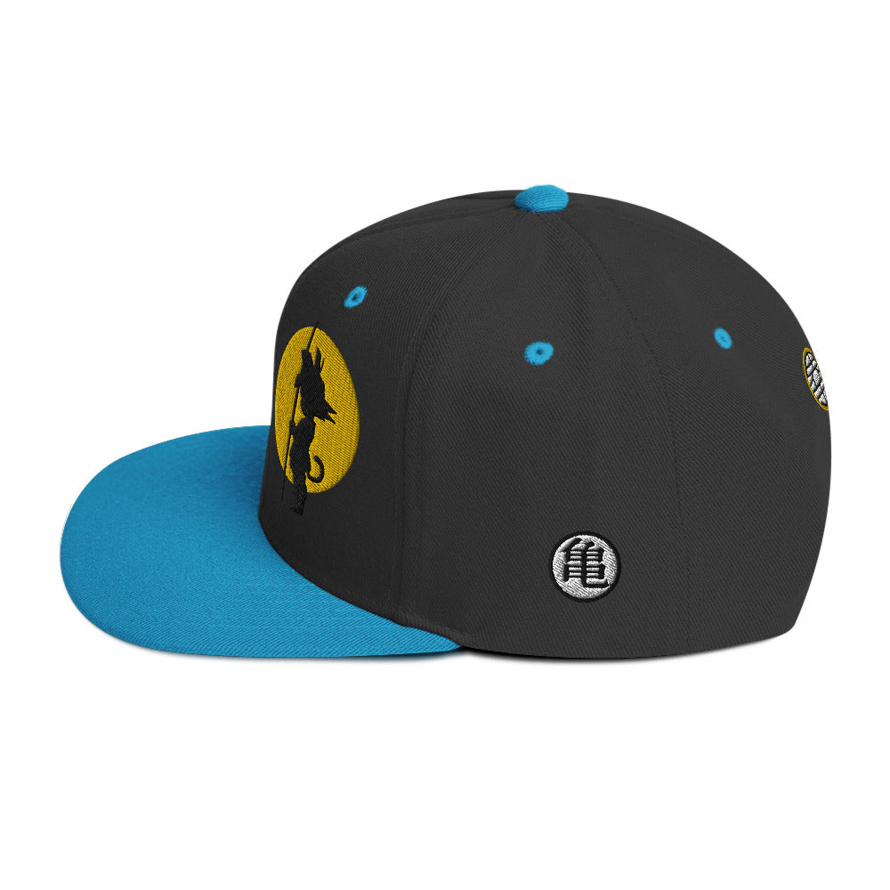 Silhouette Kame Snapback Hat