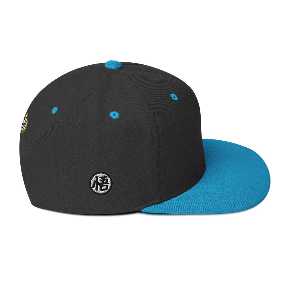 Silhouette Kame Snapback Hat