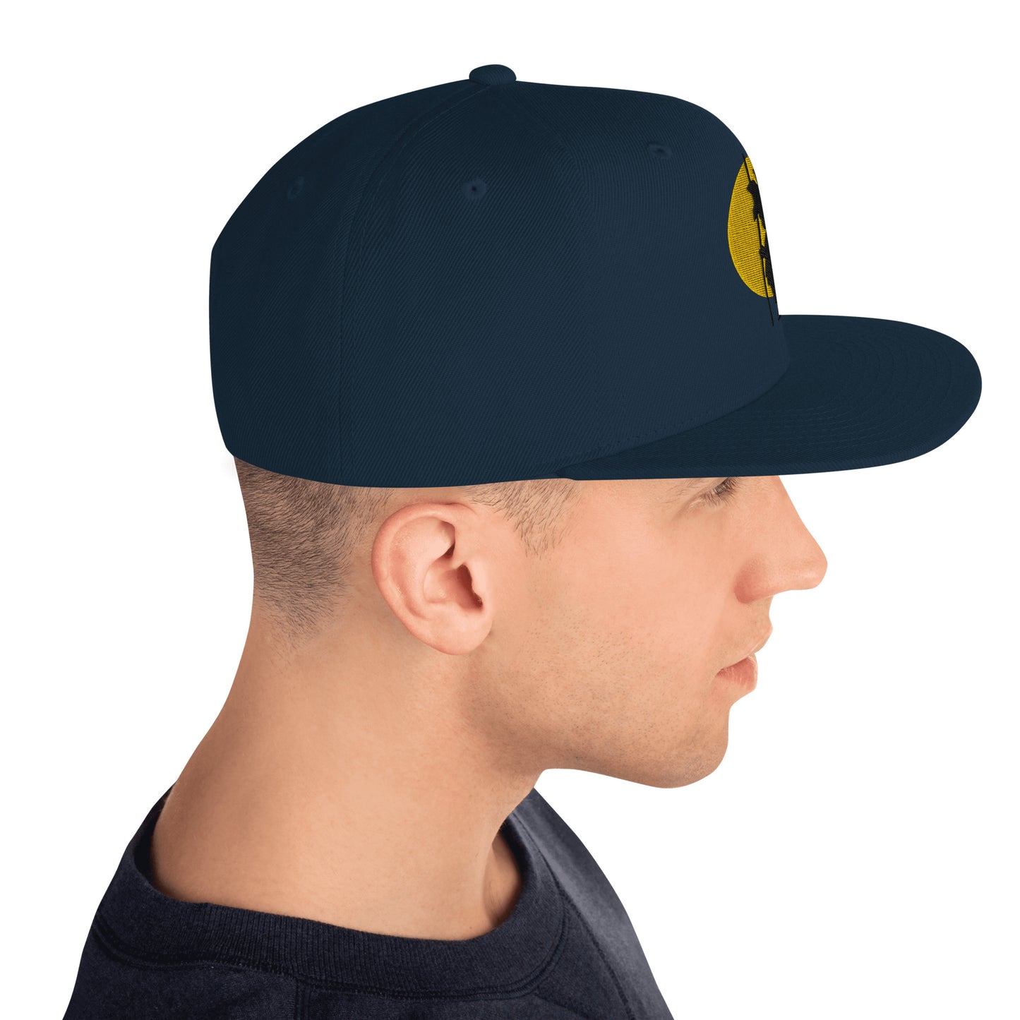 Silhouette Snapback Hat