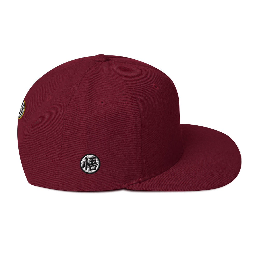 Silhouette Kame Snapback Hat