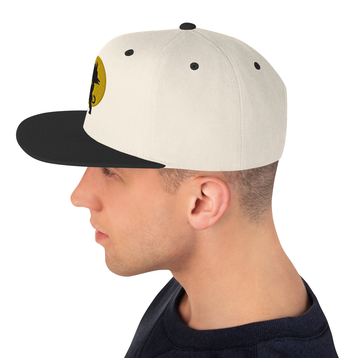 Silhouette Snapback Hat