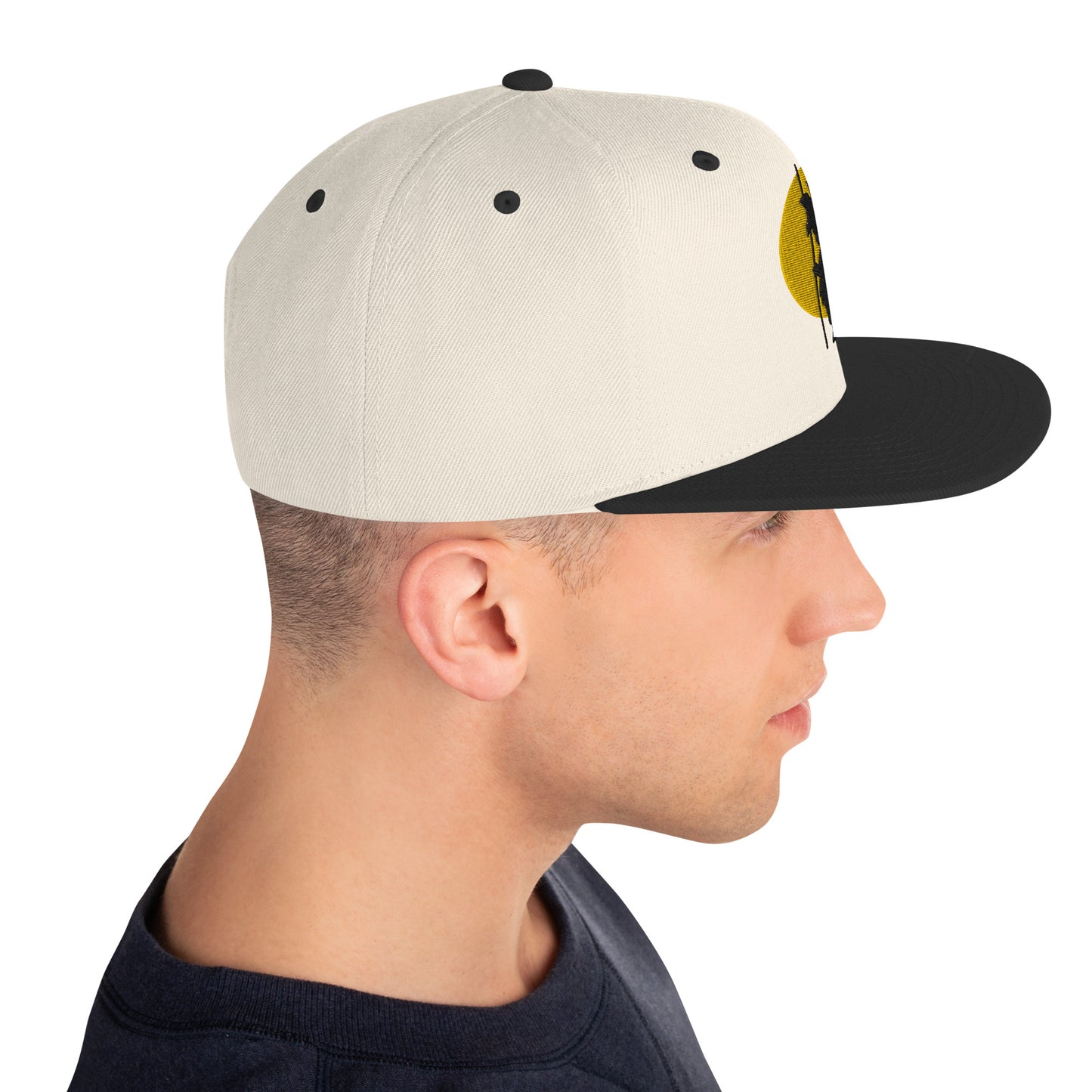 Silhouette Snapback Hat