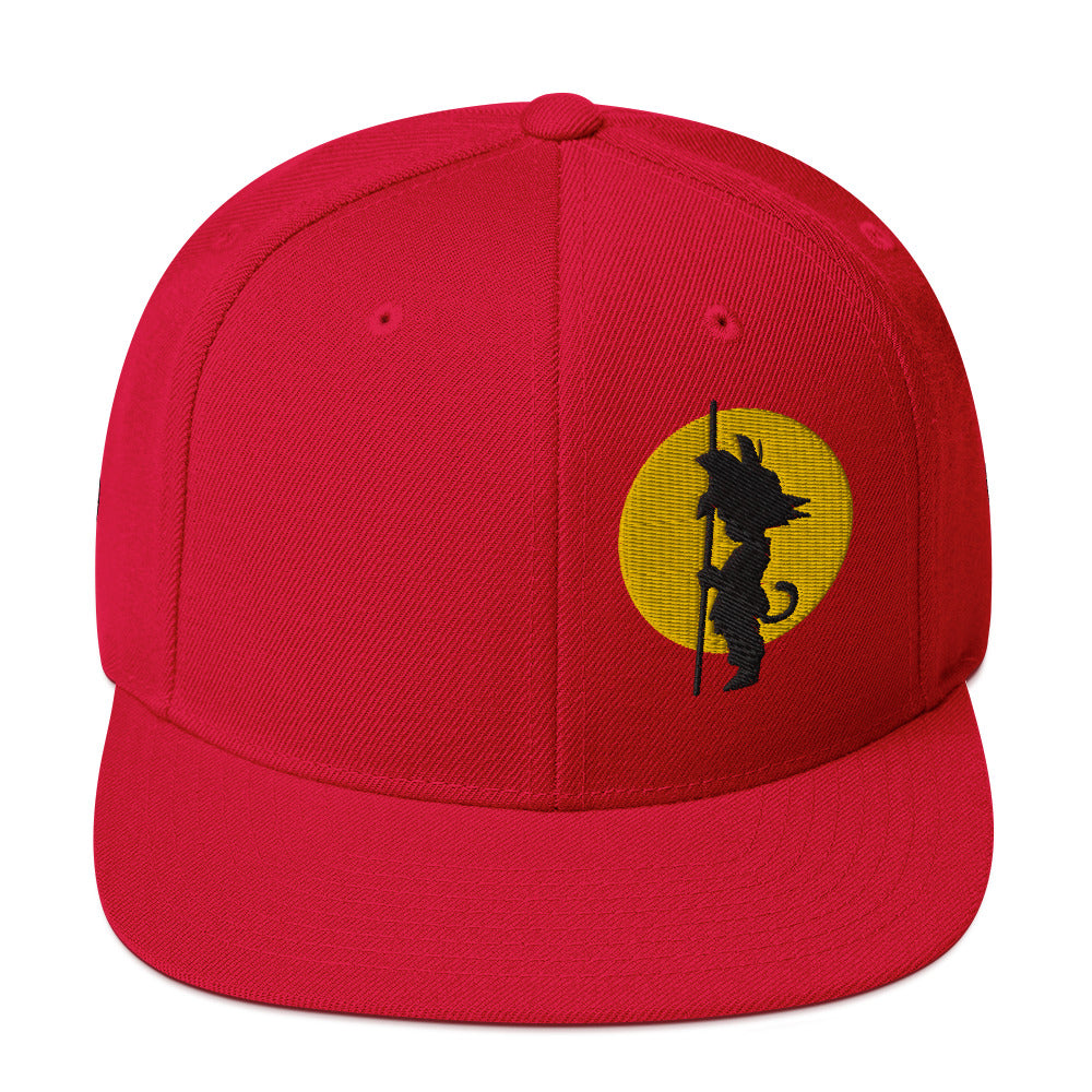 Silhouette Kame Snapback Hat