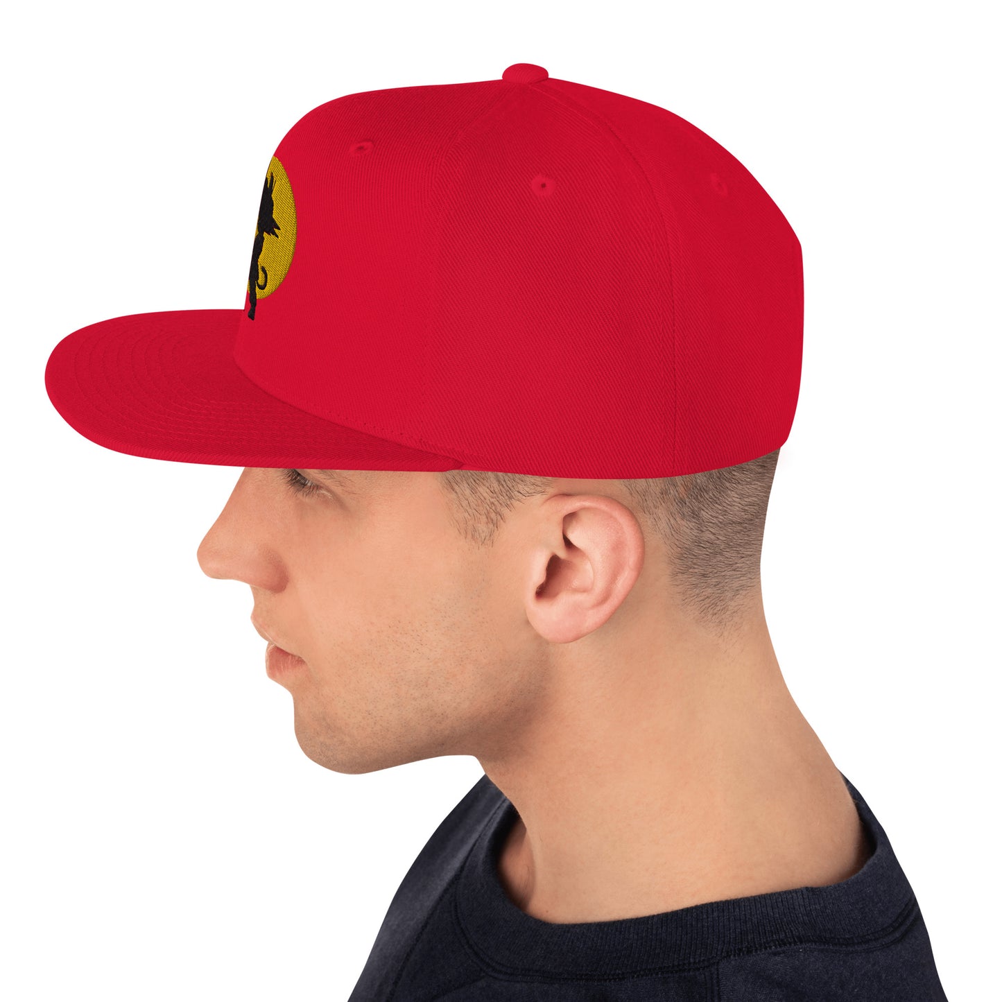 Silhouette Snapback Hat