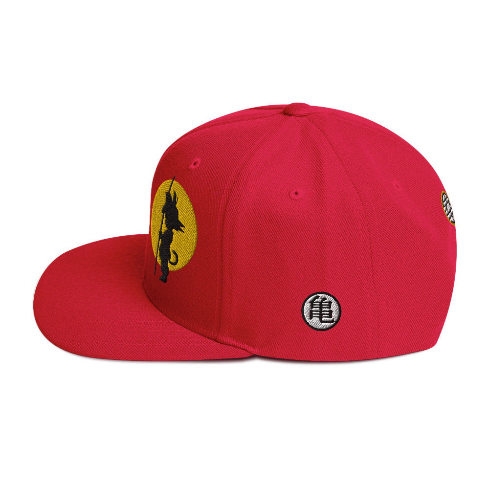 Silhouette Kame Snapback Hat