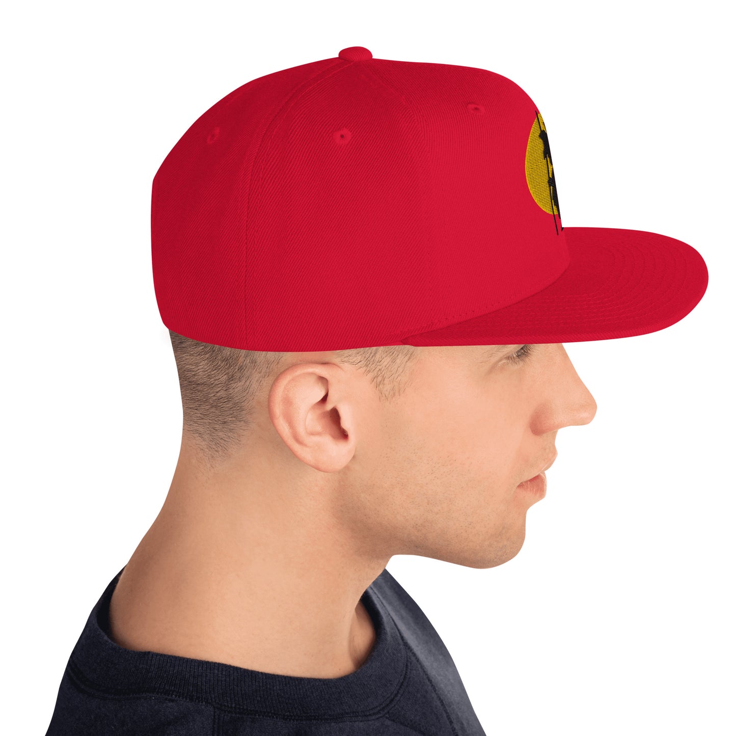 Silhouette Snapback Hat