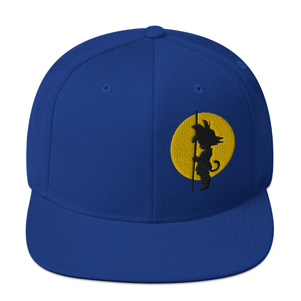 Silhouette Kame Snapback Hat