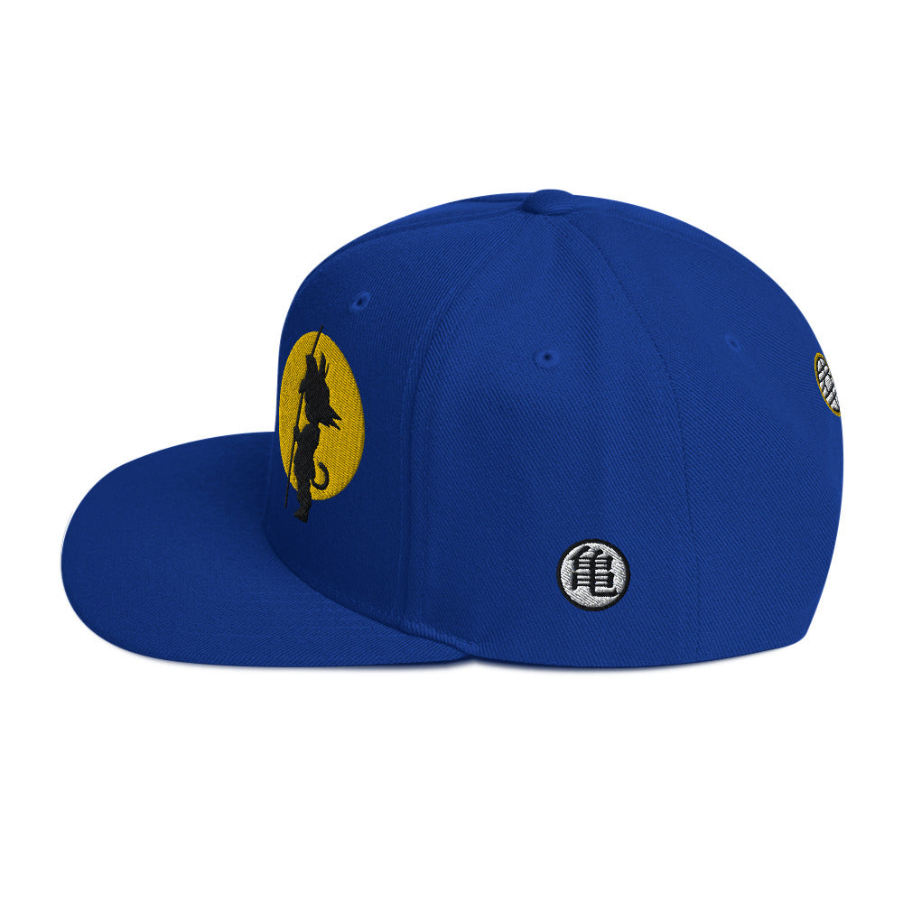 Silhouette Kame Snapback Hat